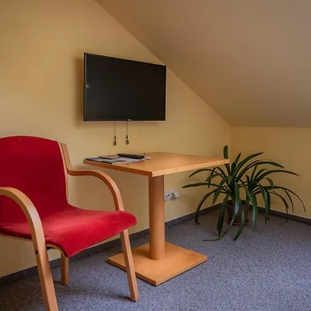 Hotel U Konicka 3*